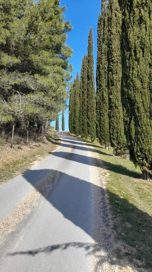Villa Il Poggio Di Teo à Manciano Extérieur photo