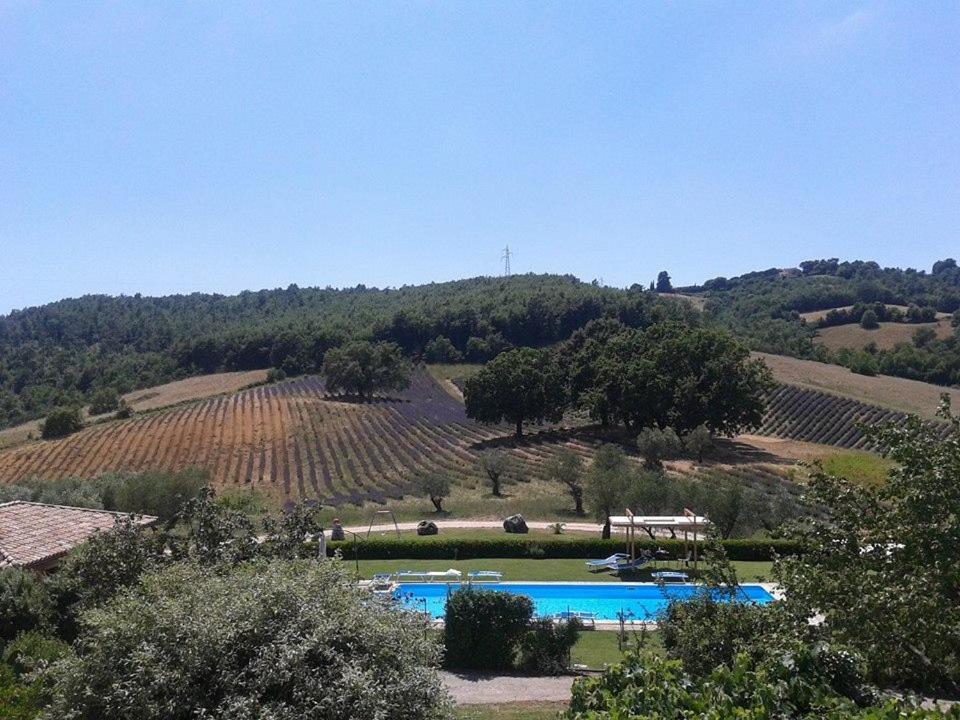 Villa Il Poggio Di Teo à Manciano Extérieur photo