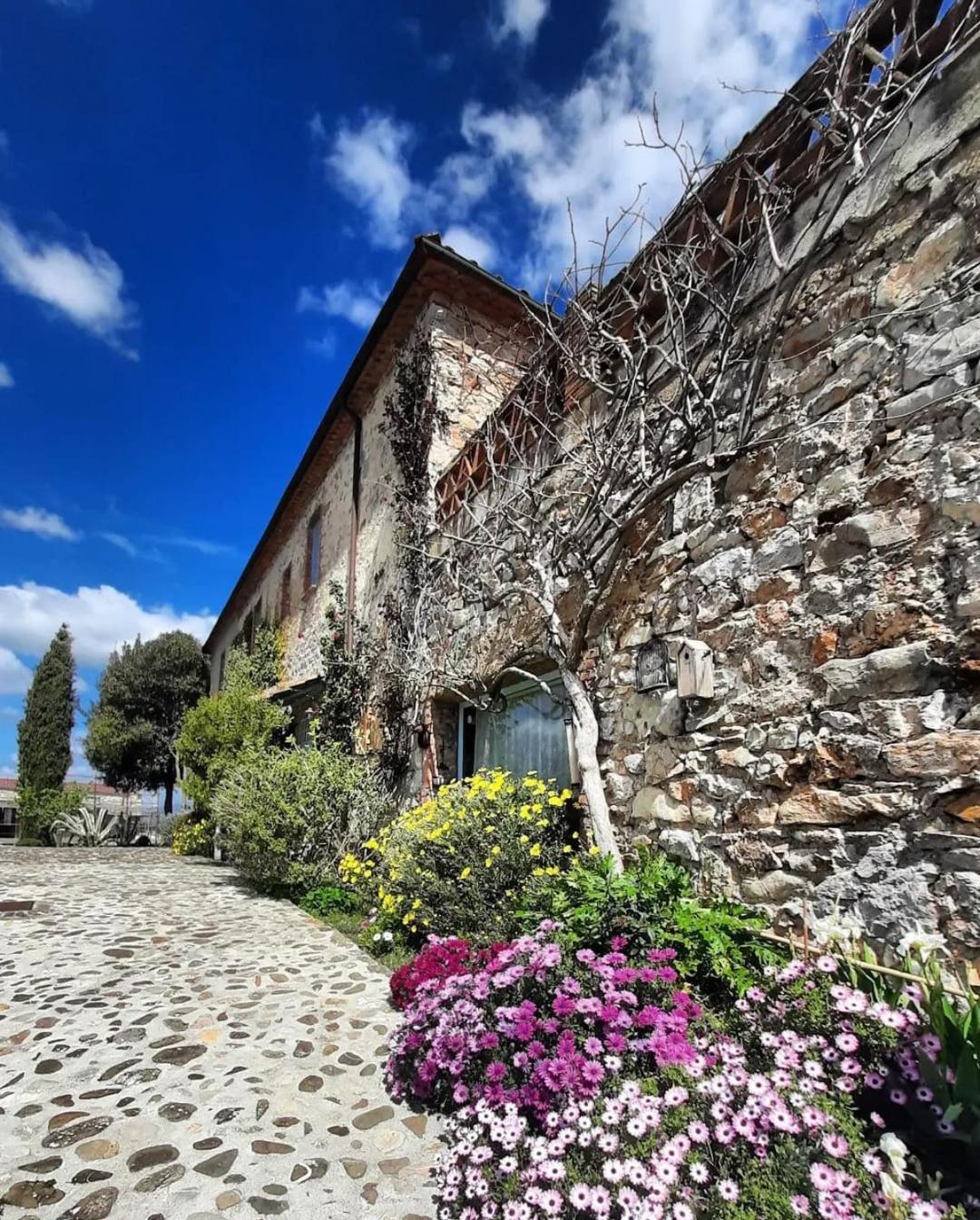 Villa Il Poggio Di Teo à Manciano Extérieur photo