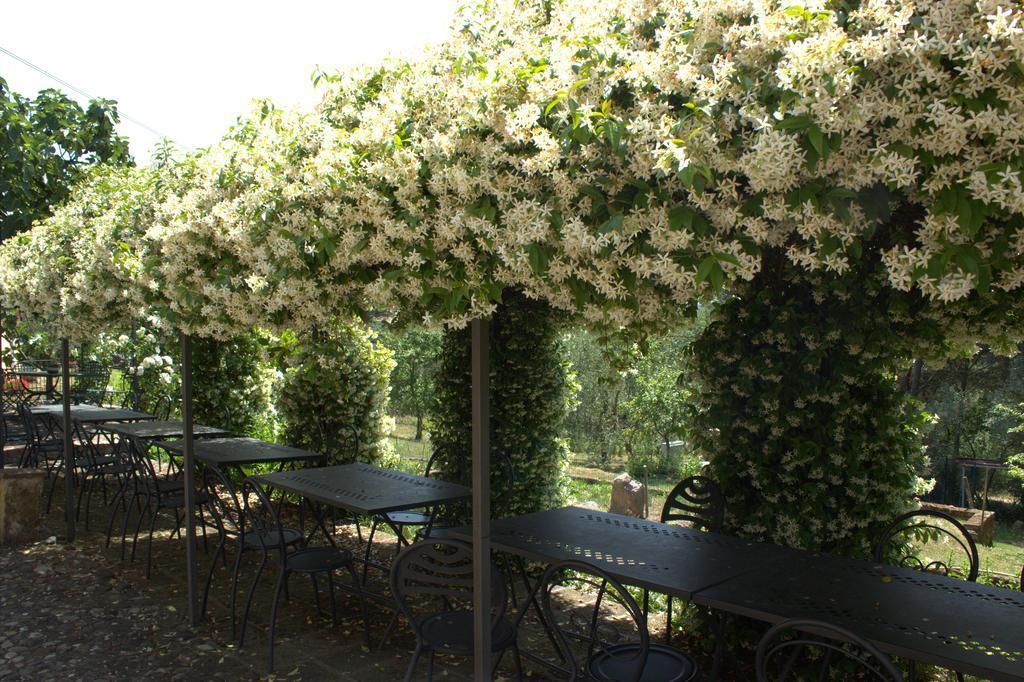 Villa Il Poggio Di Teo à Manciano Extérieur photo